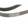 Ремінь генератора VW T4 2.5TDI/LT 2.3 96-06/MB C-class (W204) 3.5 11-/V-class (W639) 2.2CDI 10-