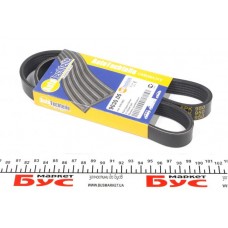 Ремінь генератора Citroen Jumper/Fiat Ducato/Peugeot Boxer (6PK950)