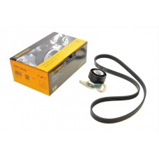 Комплект ременя генератора Renault Clio/Megane/Scenic/Nissan Almera/Micra/Kubistar 1.5 dCi 03-