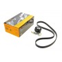 Комплект ременя генератора Renault Clio/Megane/Scenic/Nissan Almera/Micra/Kubistar 1.5 dCi 03-