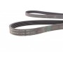 Ремінь генератора VW LT 2.8TDI 01-06/Volvo 850/S70/S80/V70 2.5TDI 95-06/Opel Astra/Insignia 1.6 12-