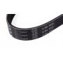 Ремінь генератора Fiat Bravo 1.9TD/JTD 96-01/1.6 D Multijet 07- (6PK1036)