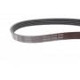 Ремень генератора BMW 3 (E46)/5 (E39)/7 (E38) 95-05 (5PK865) (M52/M54)