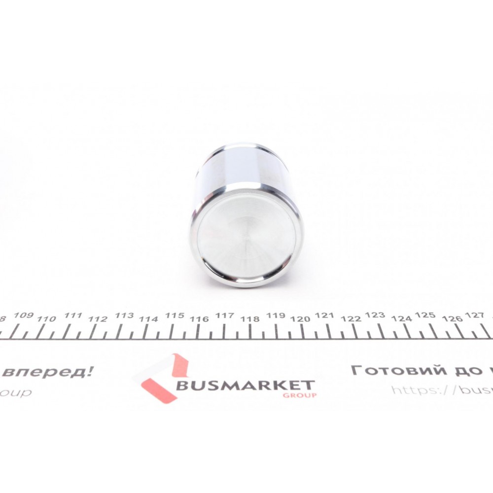 Поршень супорта (переднього) VW Golf III/Skoda Fabia I/II 91-14 (48x54,7mm)