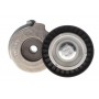 Натяжник ременя генератора Fiat Bravo 1.6-2.0D/Opel Signum 1.9CDTI 04-