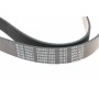 Ремінь генератора Mazda 3/ 5/ 6 2.0 DI/CD 02-10 (8PK1225)