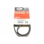 Ремінь генератора Fiat Ducato 1.9D/TD/Peugeot 106 1.5D 94-04/Mitsubishi Lancer/Space Star 1.3 98-04