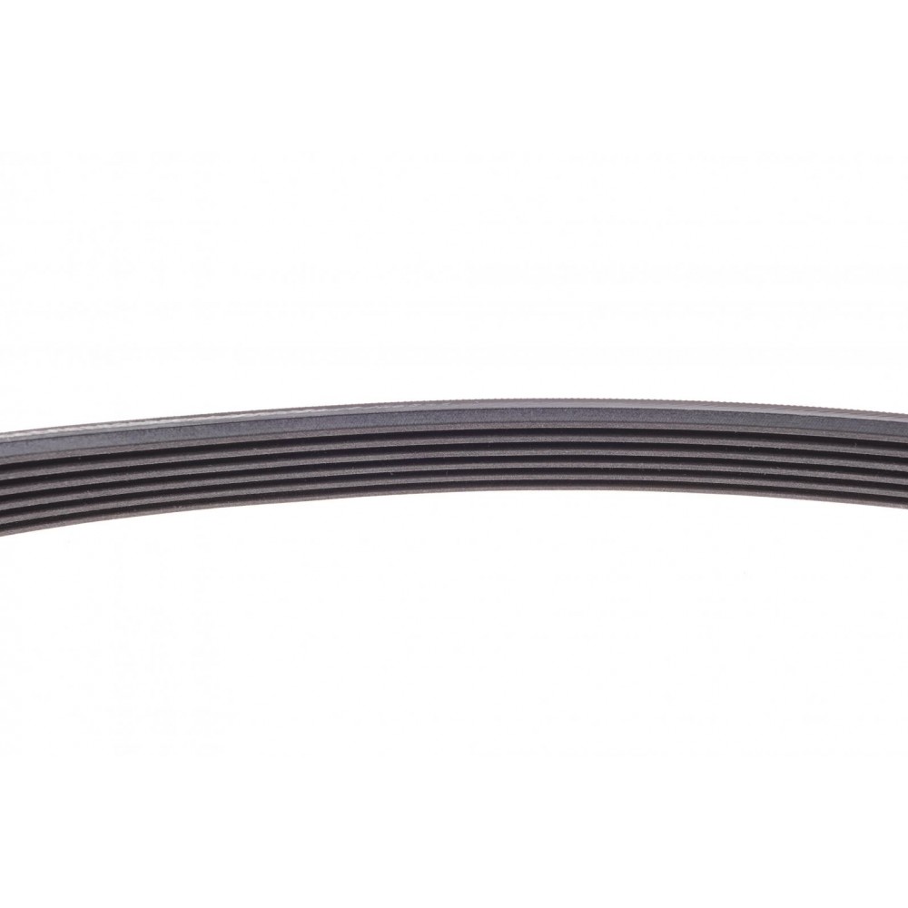 Ремінь генератора Citroen Berlingo/Fiat Ducato/Peugeot Boxer/Expert 1.9 D/TD 96-03 (6PK730)