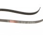 Ремінь генератора VW Passat B5/Audi A4/A6 1.6/1.8 95-