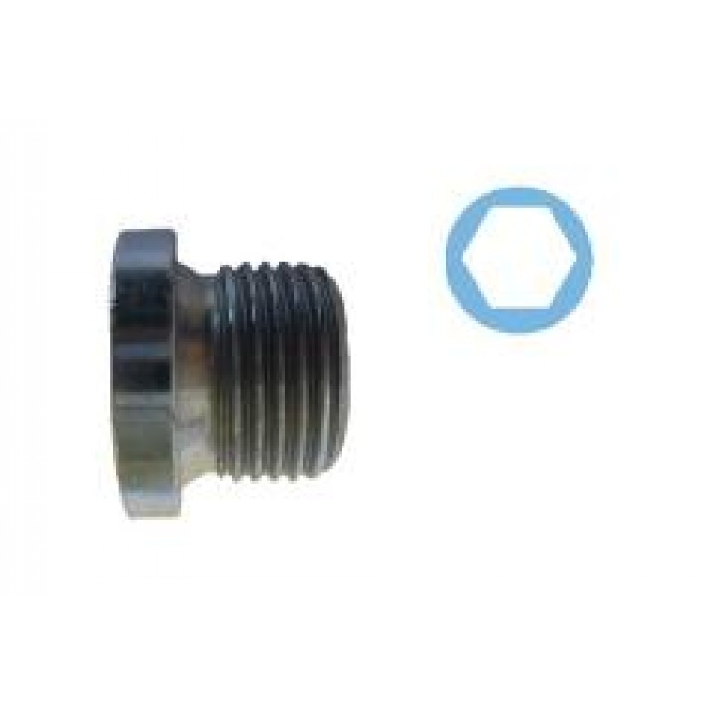 Болт зливу оливи BMW 1 (F20/F21) 1.6 i (N13) 11-  (M18x1,5)