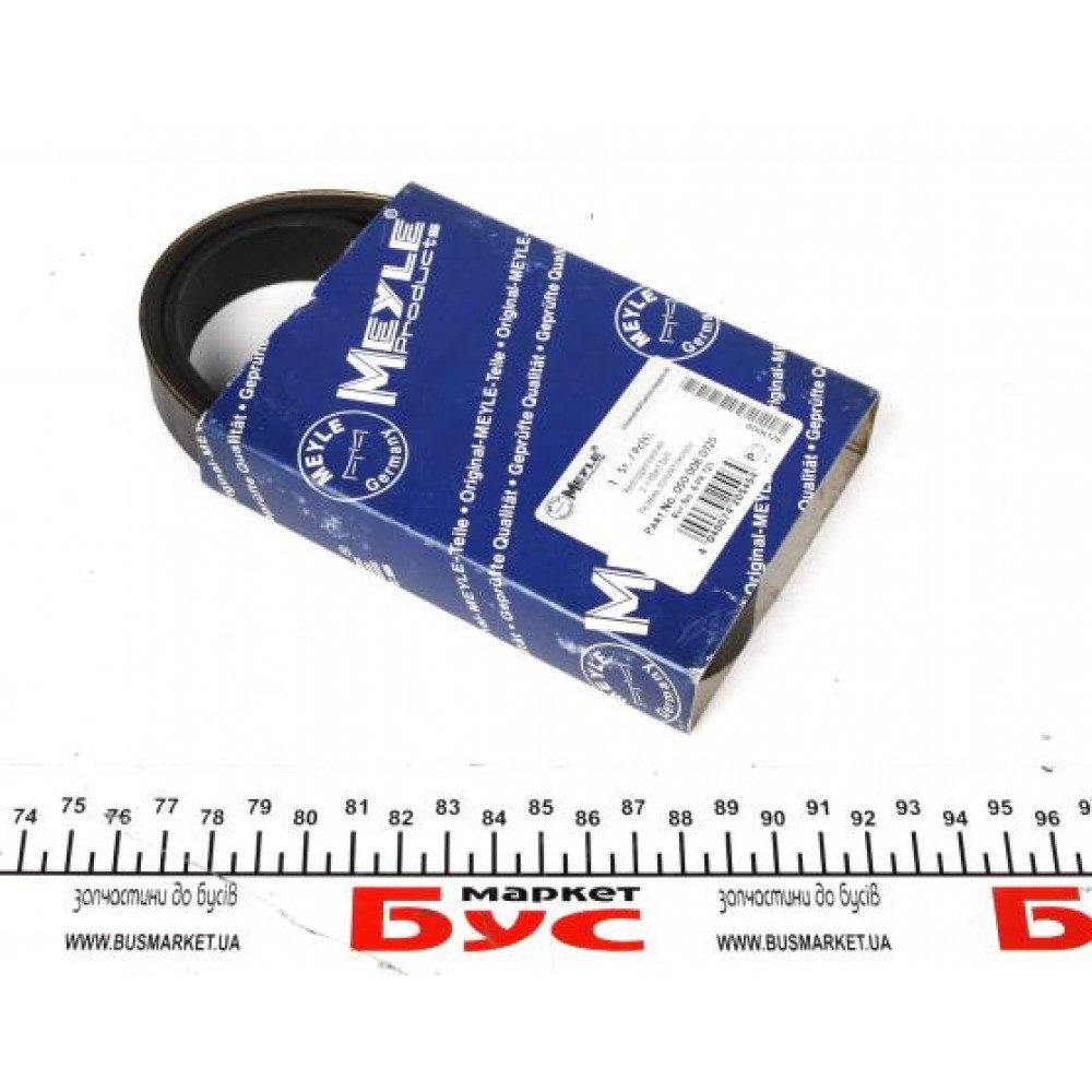 Ремінь генератора Citroen Berlingo/Jumper/Jumpy/Fiat Ducato/Scudo/Peugeot Boxer/Expert (6PK725)