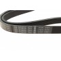 Ремінь генератора VW Golf III/Passat/T4 1.9D/TD 90-04/Opel Corsa F 1.2 19-/Fiat Scudo 1.9D 98-06
