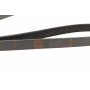 Ремінь генератора Citroen Berlingo/Jumpy/Fiat Scudo/Peugeot Partner 1.9D 98-/Hyundai Accent 02-05