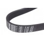 Ремінь генератора Citroen Berlingo/VW Golf III 1.4-2.0i 91- (6PK975)