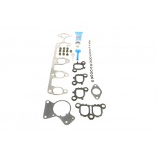 Прокладка колектора впускного/випускного VW T5 2.5TDI 03- (к-кт) AXD/AXE/BAC/BLJ/BLK