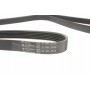 Ремінь генератора MB W124/S124 M104 -96 (6PK2330)
