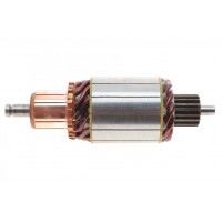 Якір стартера Fiat/Ford/MB/Rover/VW = 132031