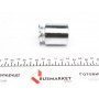 Поршень супорта (заднього) Citroen C4/Toyota Avensis 06- (38x50.35mm) (Bosch)