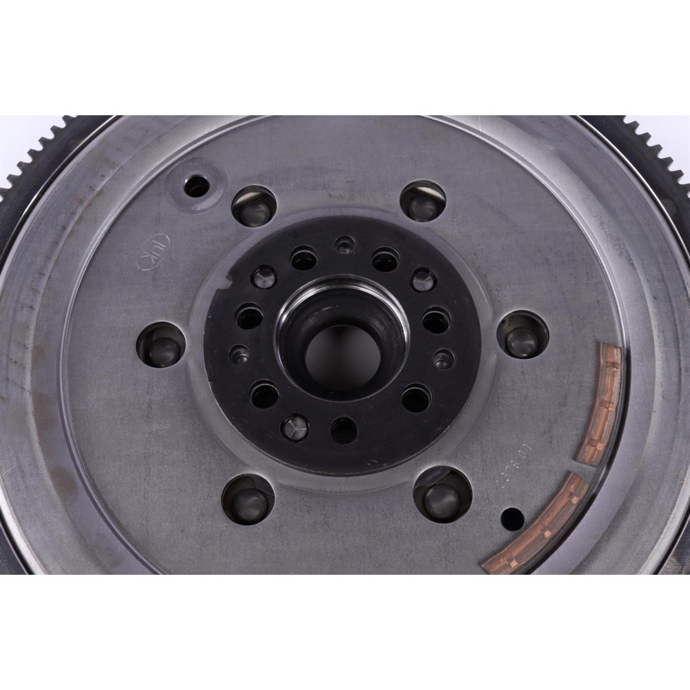 Демпфер зчеплення Renault Megane II/III/Scenic II/III 1.9dCi 02-, 66/68/81/85/88/96kw