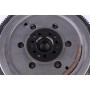 Демпфер зчеплення Renault Megane II/III/Scenic II/III 1.9dCi 02-, 66/68/81/85/88/96kw