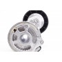 Комплект ременя генератора Citroen Jumper/Peugeot Boxer 3.0D 06-, (6PK 1165)
