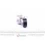 Натяжник ременя генератора Ford Mondeo IV/Peugeot 407 2.0TDCi/2.2 HDi 06-