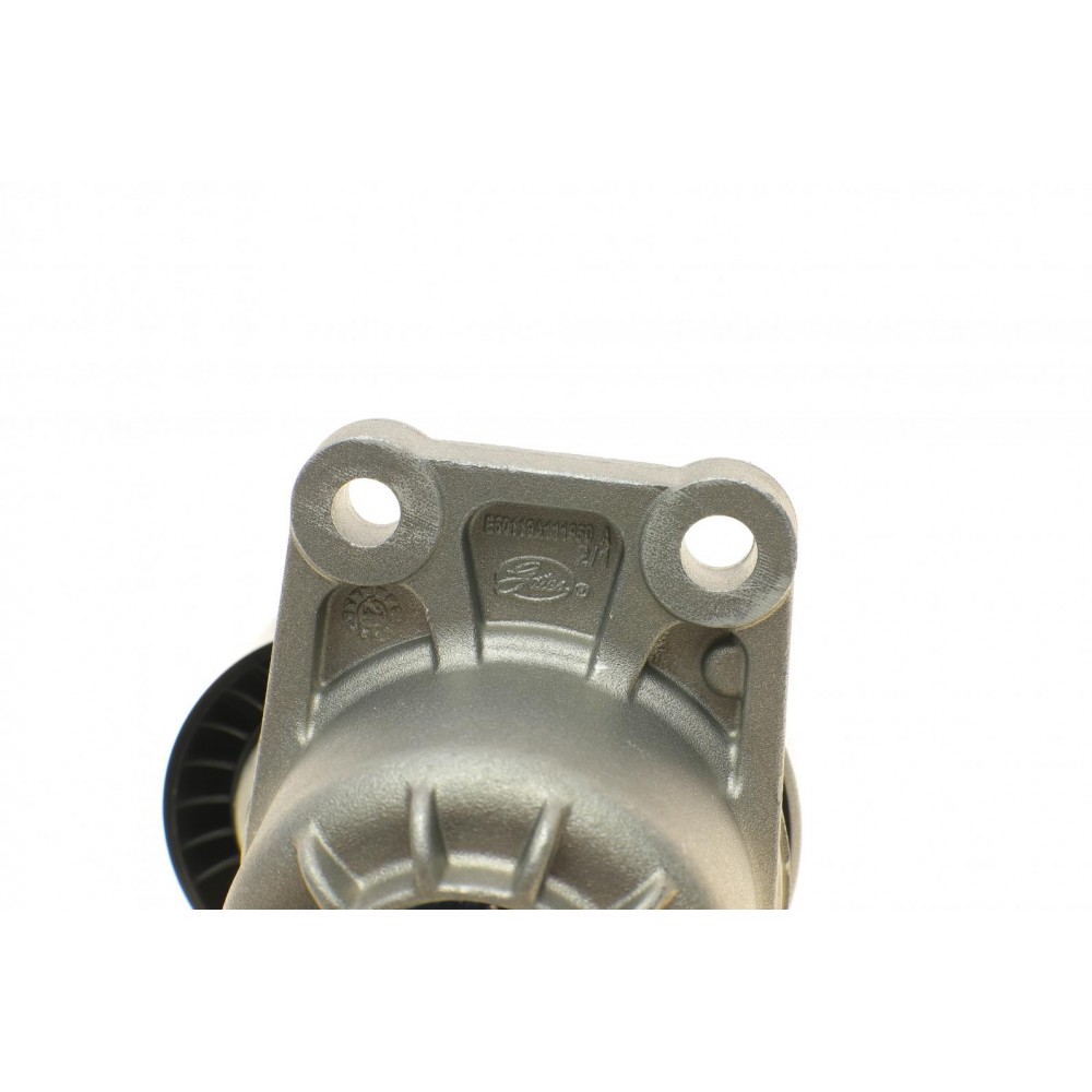 Натяжник ременя генератора Citroen C4/C5/Peugeot Expert 2.0 HDi 09-