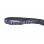 Ремінь генератора Peugeot Partner 1.6 HDI 08-/Ford Connect 1.6TDCi 13- (+AC)