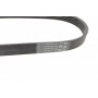 Ремінь генератора Ford Mondeo IV 2.5 07-15/Volvo S60/S80/V60/V70/XC60/XC70 07-16