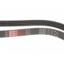 Ремінь генератора MB T1 OM601/OM602/Vito (W447) OM651 (6PK2030)