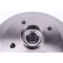 Диск гальмівний (задній) Citroen C3 09-/C4/Peugeot 307/207 04-/208 12- (249х9)(повний)(з підшипником)