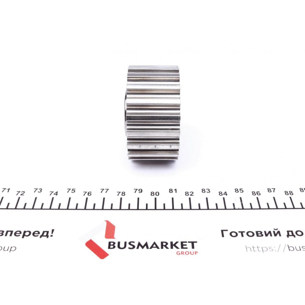 Ролик ГРМ Renault Kangoo/Master II/Megane 1.9D/dTi/dCi 97-, (60.6x31/z=20)