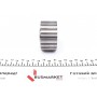 Ролик ГРМ Renault Kangoo/Master II/Megane 1.9D/dTi/dCi 97-, (60.6x31/z=20)