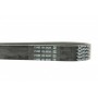 Ремінь генератора Ford Transit 2.4 TDCi 00-06