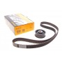 Комплект ГРМ VW T3/Passat/Golf II 1.5-1.7D/TD 77-92 (25.4x135z)