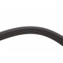 Ремінь генератора BMW X5/Ford Focus 1.4/1.6 16V 98- (6PK1892)