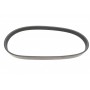Ремінь генератора Ford C-Max/ Focus II-III/Volvo C30/S40 II/V50 1.8-2.0 03-