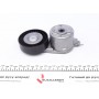 Натяжник ременя генератора Ford Mondeo IV/Galaxy 1.8TDCi 06-15