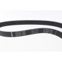 Ремінь генератора VW Golf V/VI/Passat VI/VII/Skoda Fabia 1.4TSI/FSI/1.6 FSI 97-