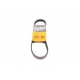 Ремінь генератора Subaru Forester 2.0 08-13/Impreza 1.6/2.0 92-07/Legacy 1.8-2.5 89-14/Outback 12-