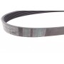 Ремінь генератора Citroen Berlingo/Fiat Ducato/Peugeot Boxer/Expert 1.9 D/TD 96-03 (6PK730)