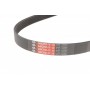 Ремінь генератора Citroen Jumper/Fiat Ducato/Peugeot Boxer 2.0/2.2HDi/JTD 02-