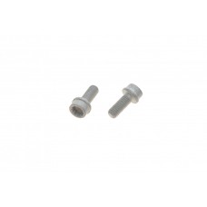 Болт  колінвалу Audi A4/A5/A6/A7/A8/Q5/Q7/Skoda Fabia/Octavia/VW Caddy/Crafter 90- (M8x20)