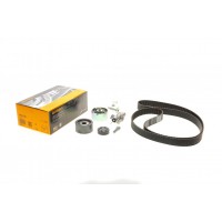 Комплект ГРМ VW Passat/Audi A4/A6 2.5TDI 97-08 (30x207z)