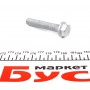 Болт кріплення диска гальмівного MB Sprinter 906 06- (M12x1.5x65)