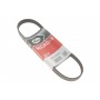 Ремінь генератора Mazda 626/Subaru Forester/Impreza/Legacy/Outback 89- (5PK683)