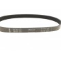 Ремінь генератора Citroen Berlingo/Fiat Ducato/Peugeot Boxer/Expert 1.9 D/TD 96-03 (6PK730)