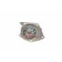 Комплект ГРМ + помпа Nissan Primera 1.9dCi 02-/Renault Scenic/Megane 1.9dCi 03-(133x26)