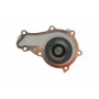 Комплект ГРМ + помпа Citroen Berlingo/Jumpy 1.6HDI 10- (z=141)