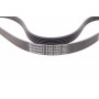 Ремінь генератора Peugeot 206/Partner/Citroen Berlingo 1.1-1.6 02-/VW Fox/Polo 1.2 02-14